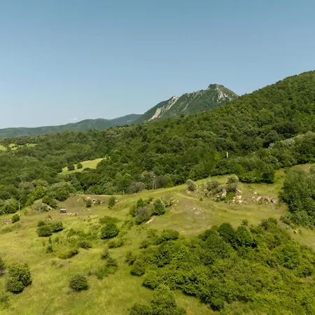 Bibe Vendeghaz Mónosbél